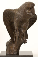 Bronze Barn Owl