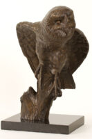 Bronze Barn Owl