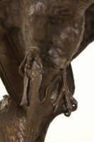 Bronze Barn Owl