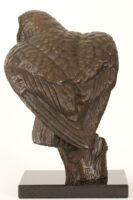 Bronze Barn Owl