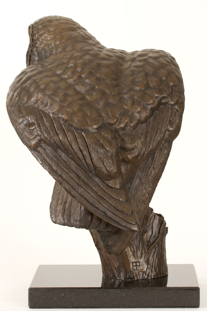 Bronze Barn Owl