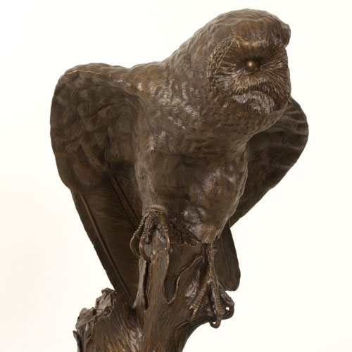 Bronze Barn Owl