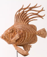 J Dory