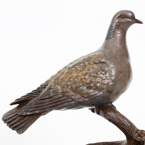 Turtle Dove Bronze