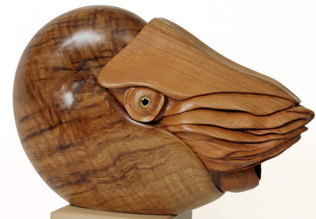 Nautilus sculpture, hand carved by Bill Prickett