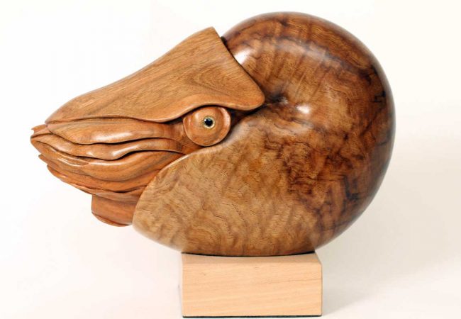 Nautilus sculpture, hand carved by Bill Prickett