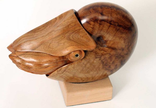 Nautilus sculpture, hand carved by Bill Prickett