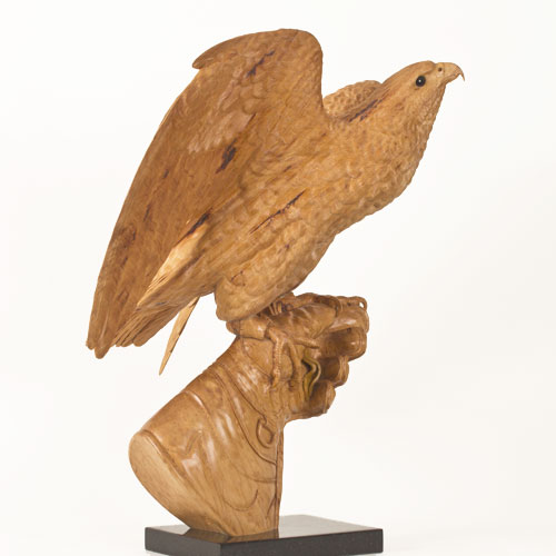 Falcon, Taking Flight 2