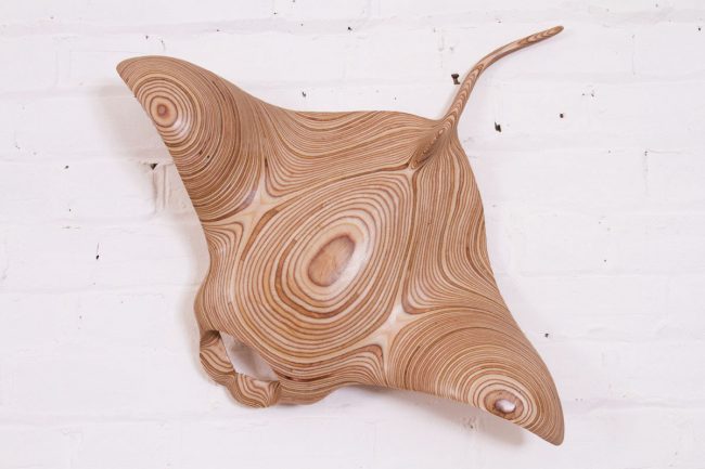 Manta 1 on Wall
