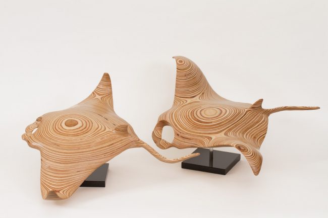 Mantas 1 and 2