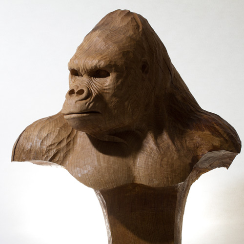 Silverback in oak
