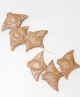 School of Rays