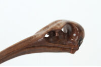 Ibis Skull