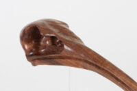 Ibis Skull