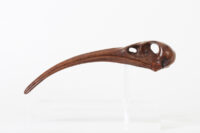 Ibis Skull