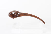 Ibis Skull