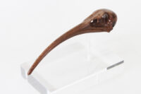 Ibis Skull
