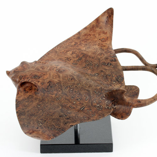 Eagle Ray