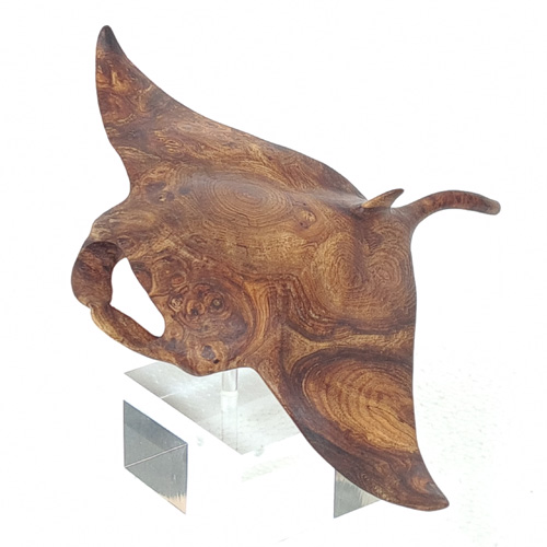 Manta Ray Small