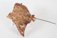 Eagle Ray in Oak Burr