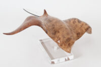 Eagle Ray in Oak Burr