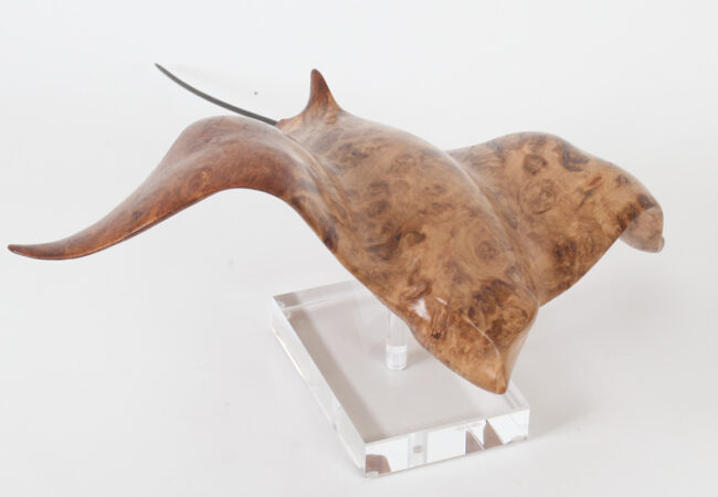 Eagle Ray in Oak Burr