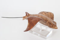 Eagle Ray in Oak Burr