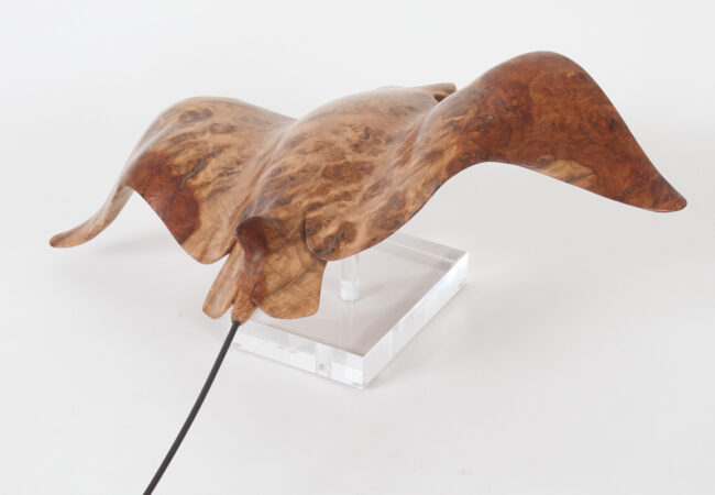 Eagle Ray in Oak Burr