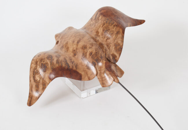 Eagle Ray in Oak Burr