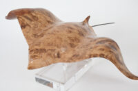Eagle Ray in Oak Burr