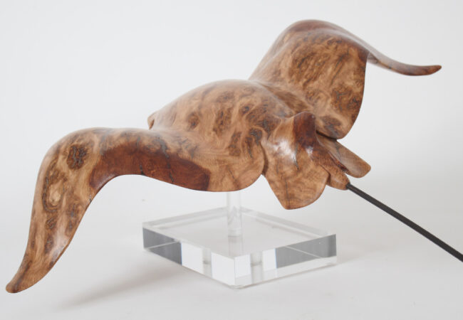 Eagle Ray in Oak Burr