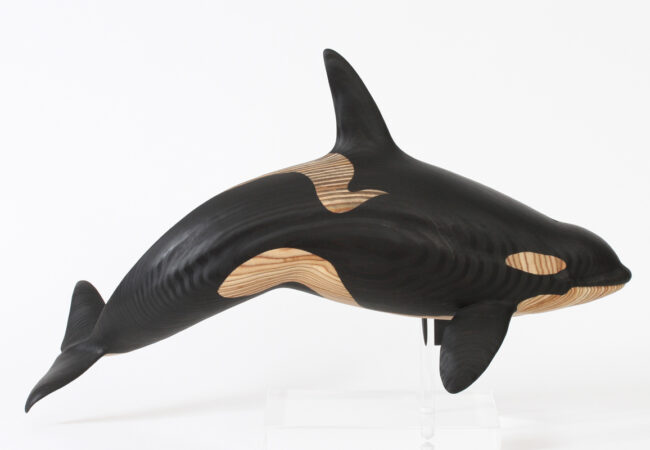 Orca