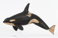 Orca