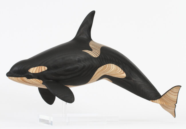 Orca