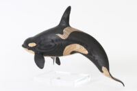Orca