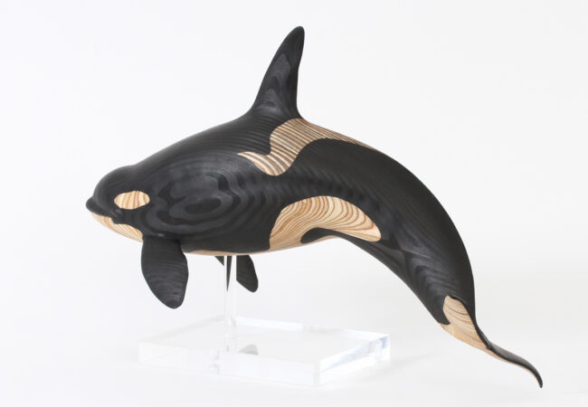 Orca