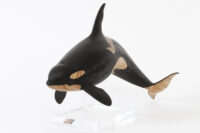 Orca