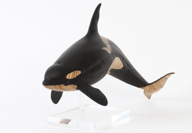 Orca