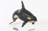Orca