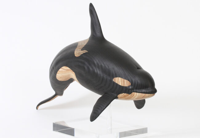 Orca
