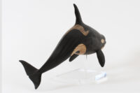 Orca