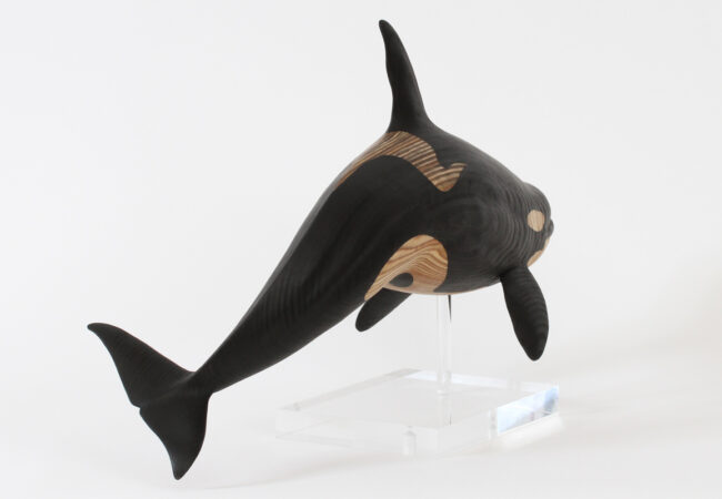 Orca