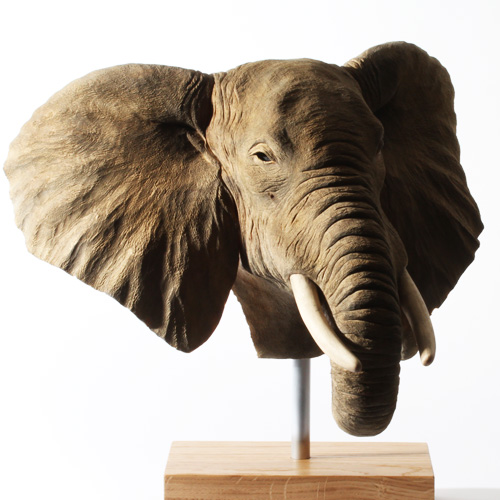 African Elephant Bust