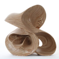 Strange Attractor