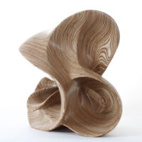 Strange Attractor