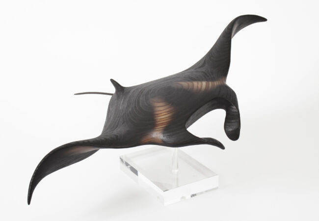 Giant Manta