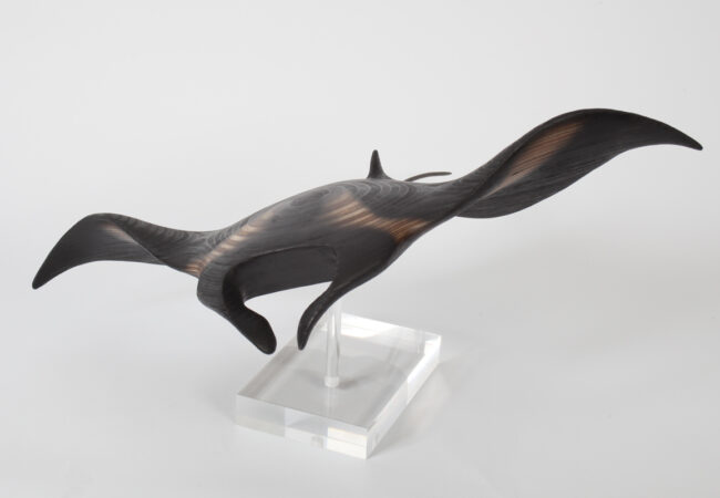 Giant Manta