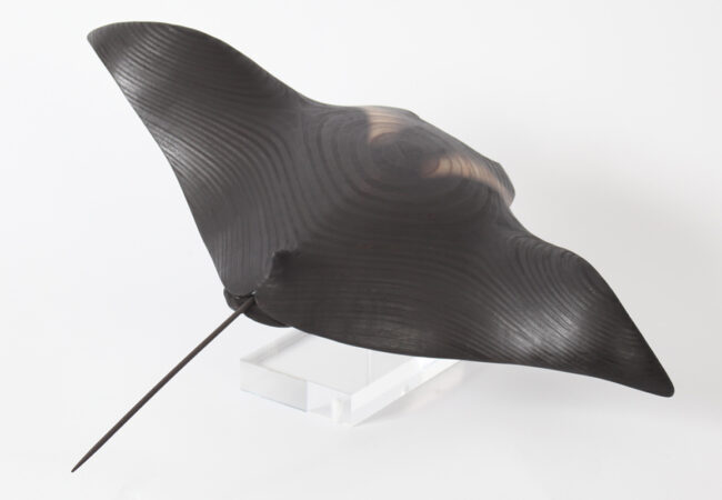 Giant Manta