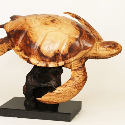 Green Sea Turtle
