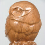 Little Owl